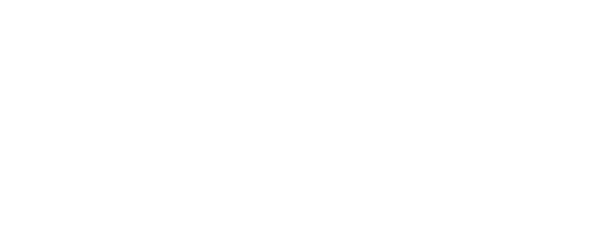 Inspur / 浪潮